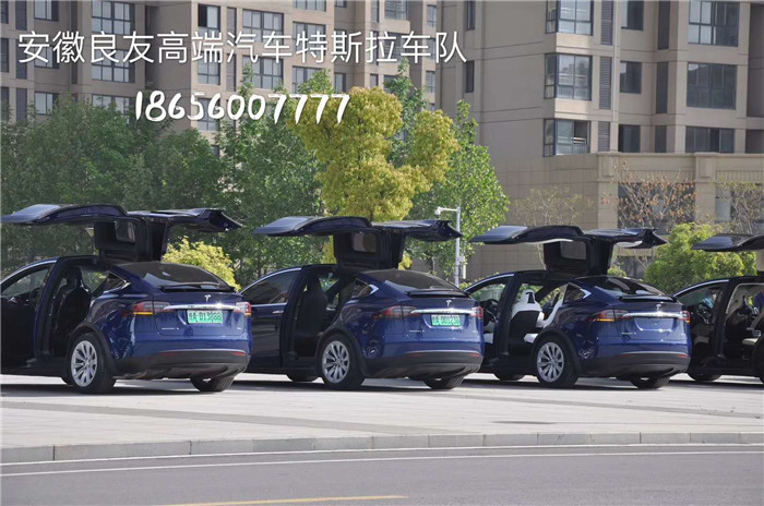 2018年4月15日 安徽良友美国特斯拉X大型车队来到蚌埠市